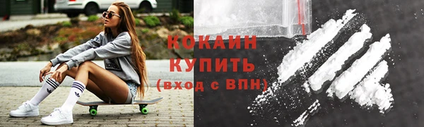 дмт Новозыбков