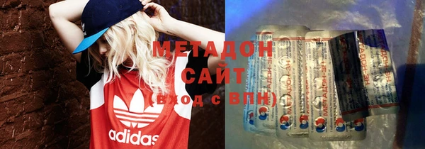 прущие грибы Новодвинск